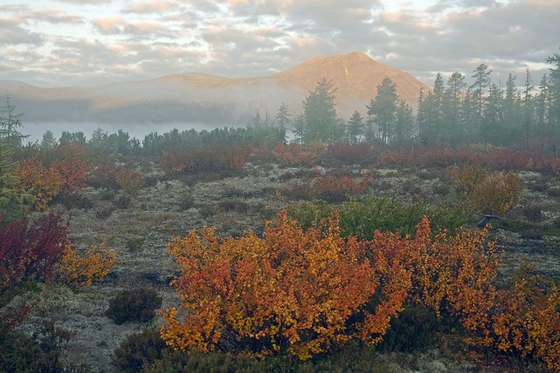 Якутия, Лабынкыр, фотоэкспедиция, Сергей Карпухин