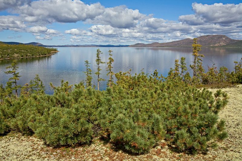 Якутия, Лабынкыр, фотоэкспедиция, Сергей Карпухин