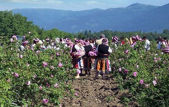 долина роз, болгария