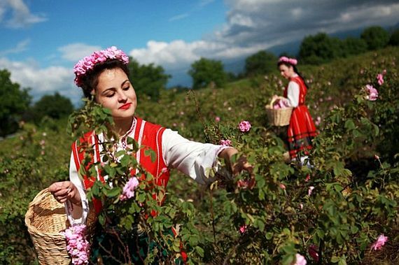 фестиваль болгарская роза