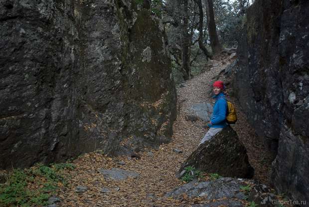 На тропе к озеру Саролсар, on a trail to Sarolsar lake