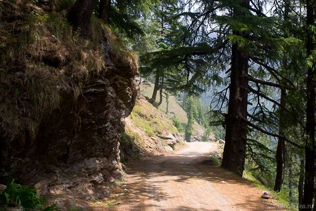 боковая дорога близ перевала Джалори, minor road near Jalori pass