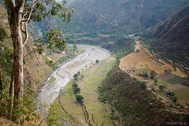 Ущелье ниже перевала Джалори, поля на террасах, narrow gorge near Jalori pass