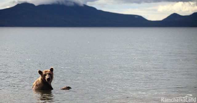 Отражение неба в воде озера